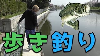 歩き釣りでバスを釣り上げろ【簡単】