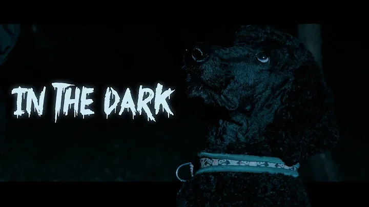 "In The Dark" 15 Second Horror Film Challenge (2017)