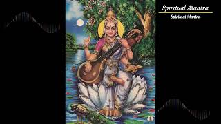 Arabhi Raga for good will #veenai #instrumental meditation music