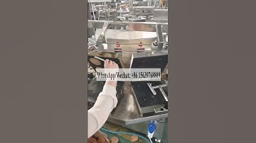 Malaysia hot selling Ice cream cone wafer biscuit machine automatic egg roll making machine