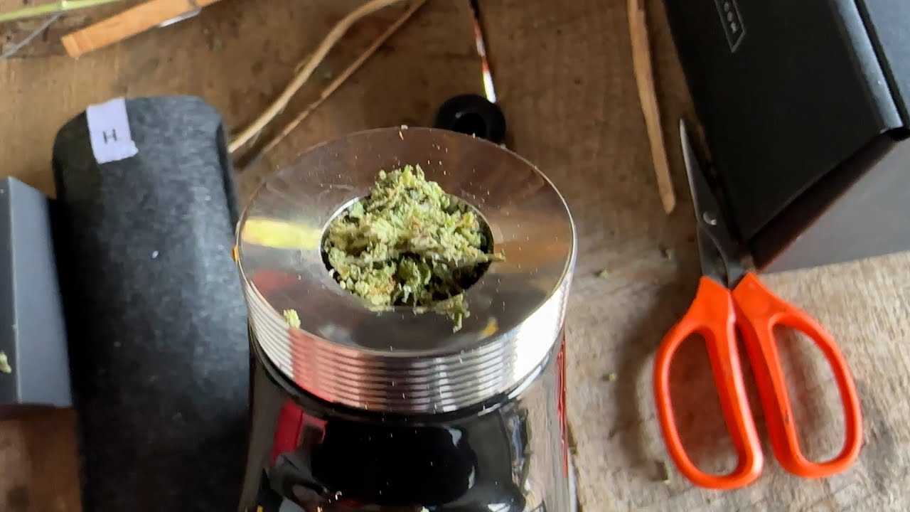 HAPPY 420! Taste testing my new strain, GirlScout Express! (GS-EX) in my new HEIR WATERPIPE (bong)