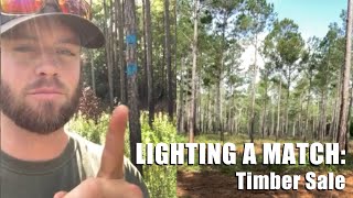 Lighting a Match - Timber Sale by The Orianne Society 62 views 10 months ago 1 minute, 25 seconds