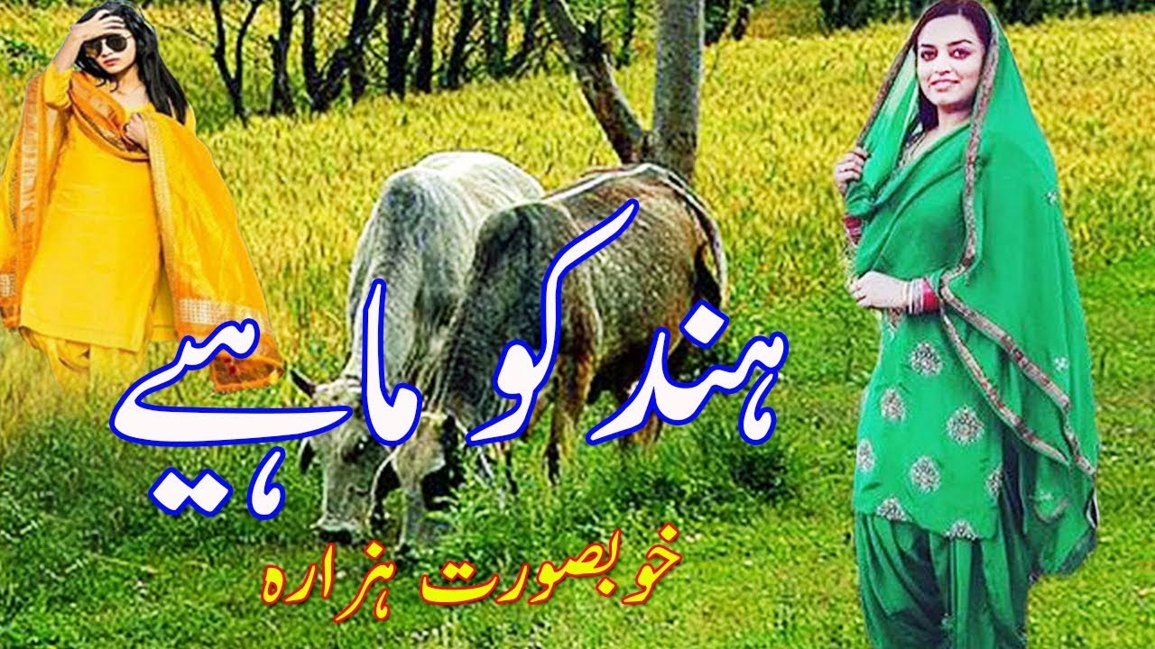 Hindko mahiya|punjabi tappay||desi music|saraiki music|Natural beauty of hazara kpk|hindko mahiye|