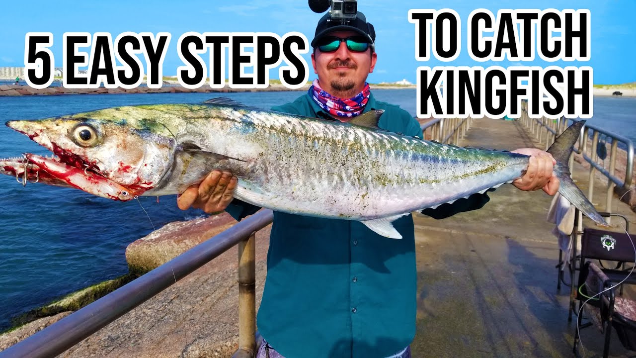 How to Catch Kingfish - From The Jetties - YouTube