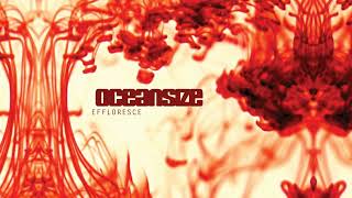 OCEANSIZE - Catalyst / Saturday Morning Breakfast Show (2003)