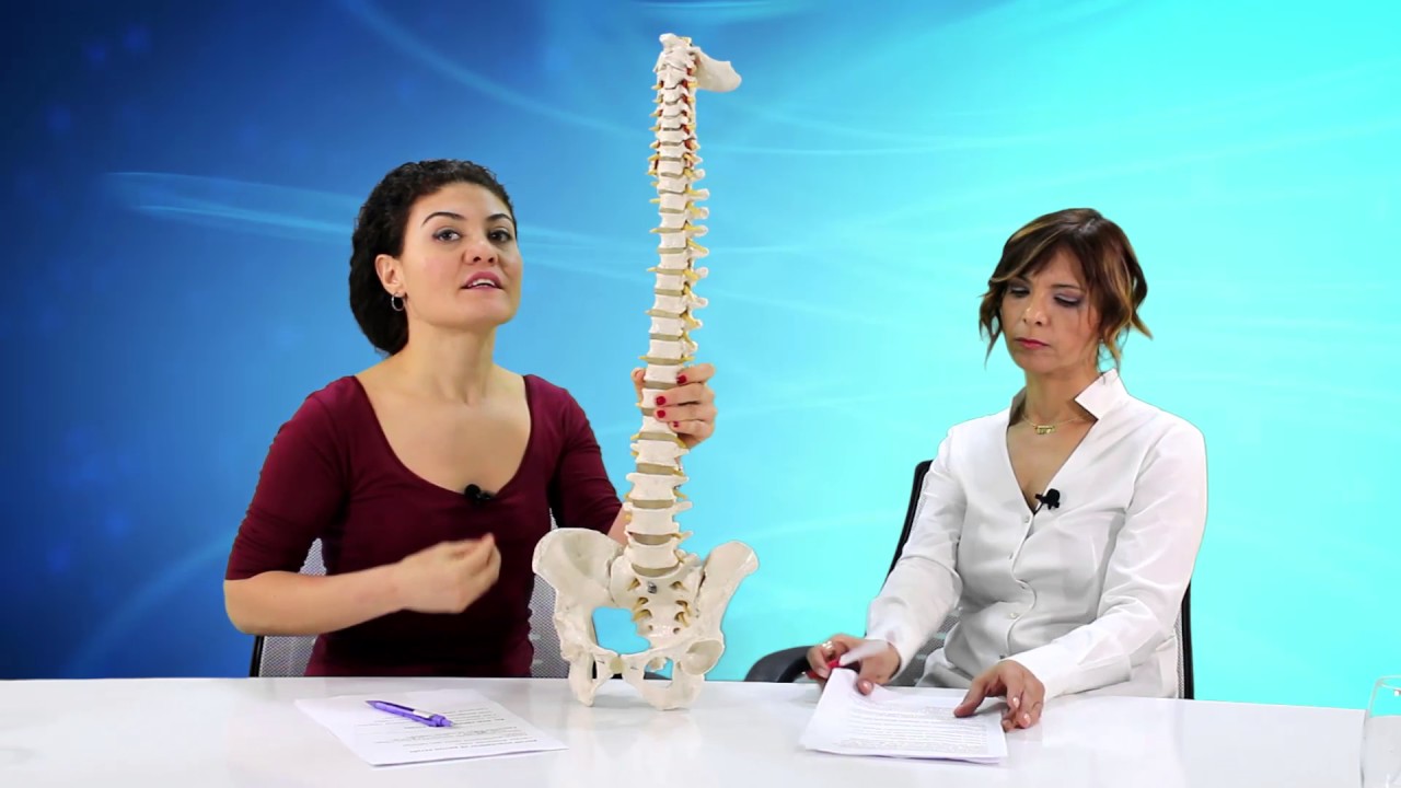 Boyun Düzleşmesi Nedir Boyun Düzleşmesi Nedir