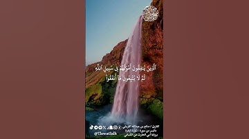 ماتيسر من سورة البقرة (برواية أبي الحارث عن الكسائي) | فضيلة القارئ الشيخ : صالح بن عبدالله القريشي