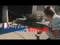 Feeding kittens in saintrmy  heading west  sony a7s iii