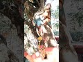 Bezubaan #viral #monkey