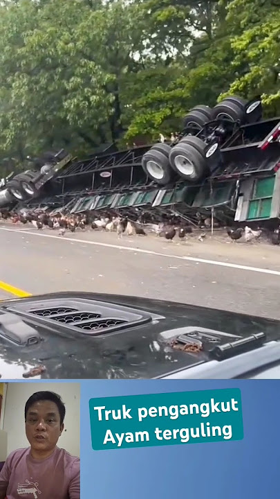 truk pengangkut ayam terguling #truk #mobil #ayam #jalan