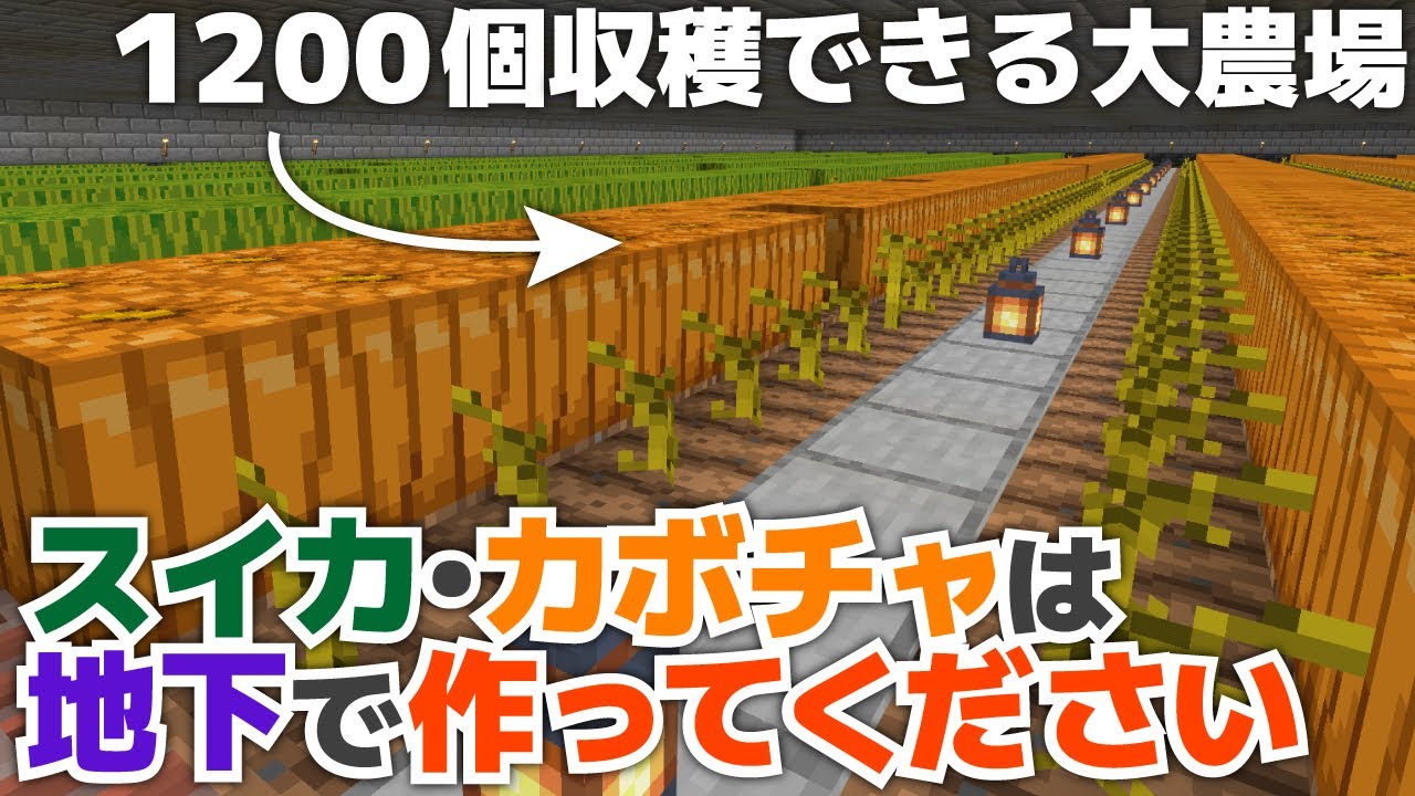 マイクラ カボチャ 畑