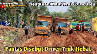 Tak Mau Menyerah!!  Truk Fuso Paksa Habis Habisan Lewat Lumpur