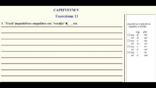 Lingua - 5.G - Exercise Tutorial