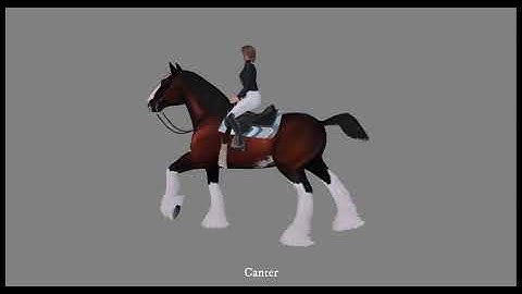 Teeglepet Horse: Movement Animations