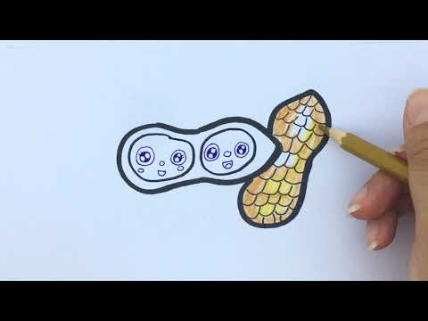 Video: Cara Menggambar Kacang