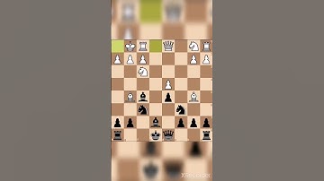 Latvian Gambit Accepted