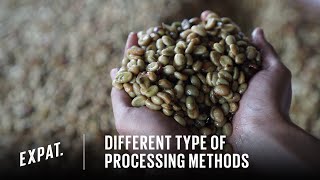 Different Type of Processing Methods (Natural, Honey, Full Washed & Wet Hulled)?    Expat. Roasters