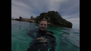 Snorkeling at Goat Island Marine Reserve - New Zealand