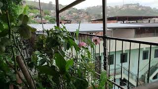 Rain Sounds for Deep Sleep