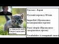 Le chaton de noël - Рождественский котёнок.