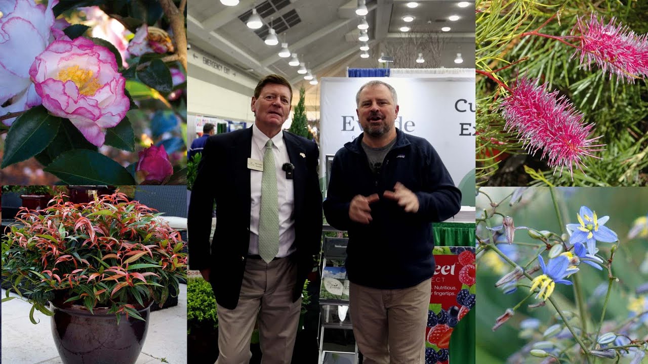 plants-for-tough-conditions-sunset-plant-collection-youtube