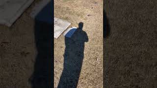 Thomas Hickman Williams and his Father in Law Silas McBee