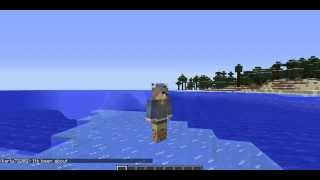Server Farewell |Infinity Craft|