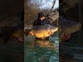 TOM STOKES BEST CAPTURES 👀 #korda #anglingdirect