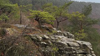 Winterwandeling In Müllerthal