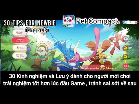 Pet Compact : 30 kinh nghiệm và lưu ý cho Tân thủ trải nghiệm tốt hơn (30 Tips for Newbie)