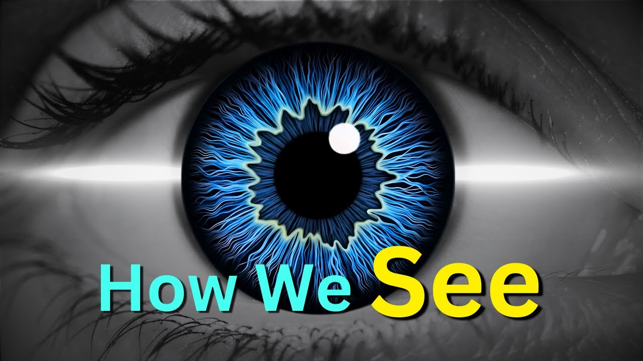 How the Eye Works | A 1941 Educational Film