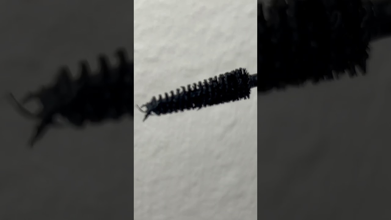 Level Up Colourpop Mascara!!! 😌