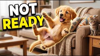 Pets That Were NOT Ready 😭 Funniest Animal Fails