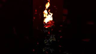 La Course Du Lièvre. Francis Lai