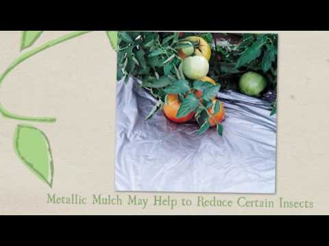 Video: Kan du købe mulch i forskellige farver – fordelene ved plastikfarvet mulch