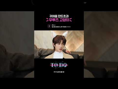 귀여움 <strong>한도초과</strong>💕 심장에 해로운 우뿌즈 고양이🧸🐿