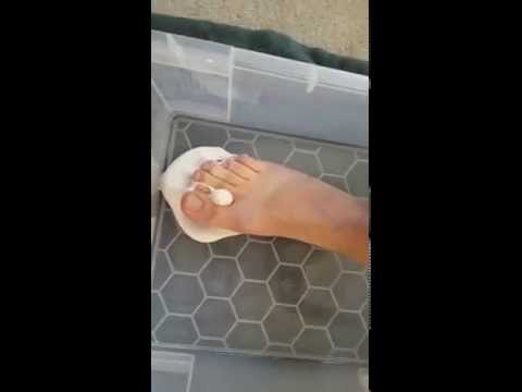 [Request] Barefoot stomping heated marshmallows