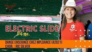 Electric Slide (Man! I Feel Like A Woman) (Line Dance, niv. Déb., chor. : Ric Silver) Net Worth