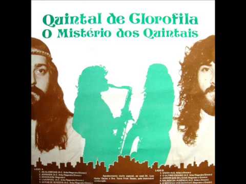 Quintal de Clorofila | O Mistério dos Quintais (1983) [Full Album/Completo]