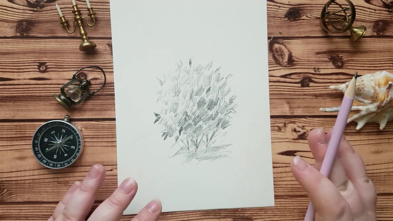 Как нарисовать куст или группу растений