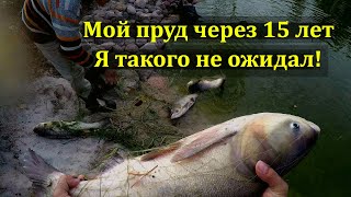 Пруд на участке. Рыбалка сетями. Пруд своими руками.