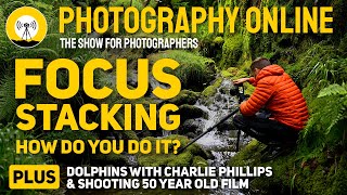 Focus Stack for Ultimate Sharpness | Dolphin Photography from the Land | Shooting 50 Year Old Film. screenshot 5