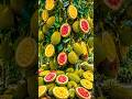 Easy and fast techniques for growing and propagating jackfruit trees #garden #fruits #diy