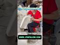 JYMPillow Factory: Prostate Hemorrhoid Cushion#MemoryFoam #Cushion #manufacturingprocess #PUFoam