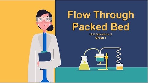 Flow Through Packed Bed Unit Operations Laboratory 2
