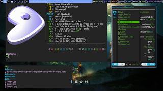 DWL: Installation and Configuration with Patches