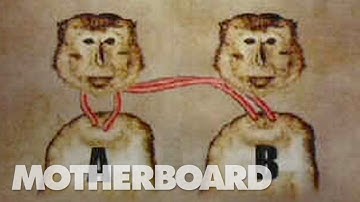 A Monkey Head Transplant (Part 1/2)