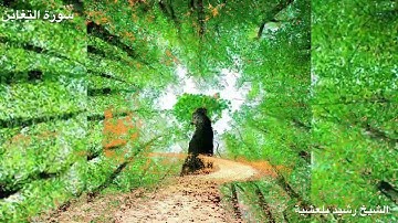 المصحف المرتل للشيخ رشيد بلعشية ((سورة التغابن))