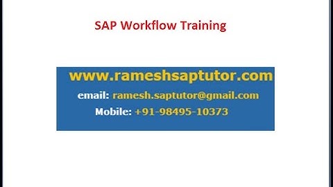 SAP Workflow Training  SAP Workflow Demo Video