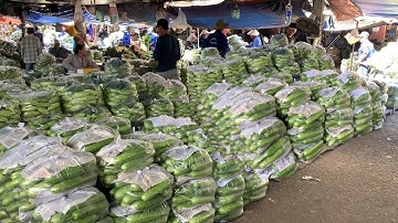 giá bán sỉ BẦU BÍ,DƯA LEO,KHỔ QUA,tại chợ đầu mối hóc môn,7/12/2025